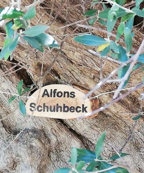 Baum Schuhbeck Schild 2