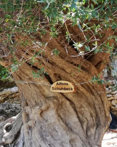 Baum Schuhbeck Schild