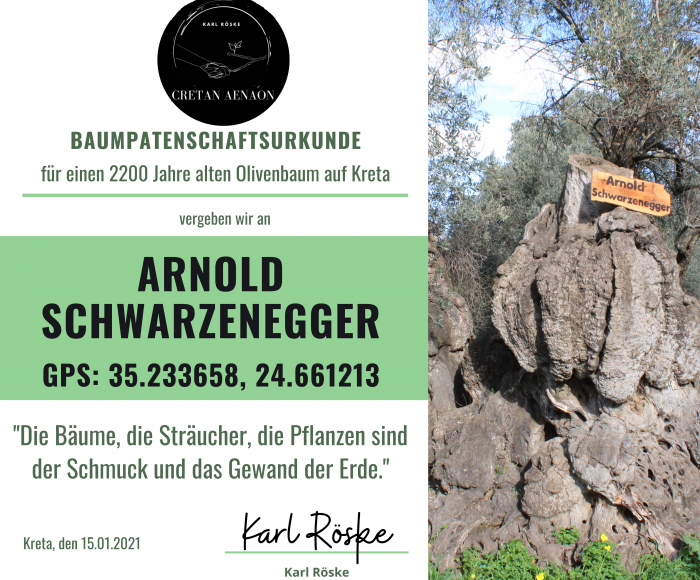 Urkunde Arnold Schwarzenegger